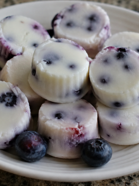 Blueberry Greek Yogurt Bites Recipe – Easy Healthy Frozen Snack You’ll Love
