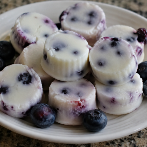 Blueberry Greek Yogurt Bites Recipe – Easy Healthy Frozen Snack You’ll Love